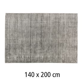 Teppich Alessa silberfarben 140x200