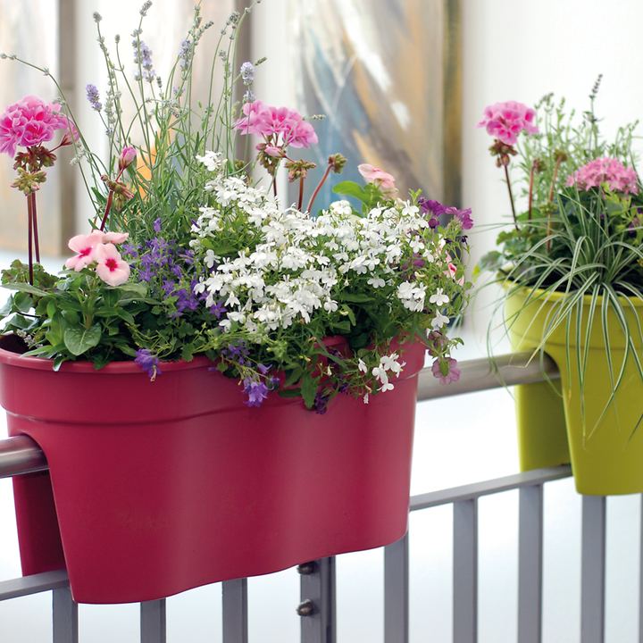 Balkon-Pflanzgefe Flowerclip